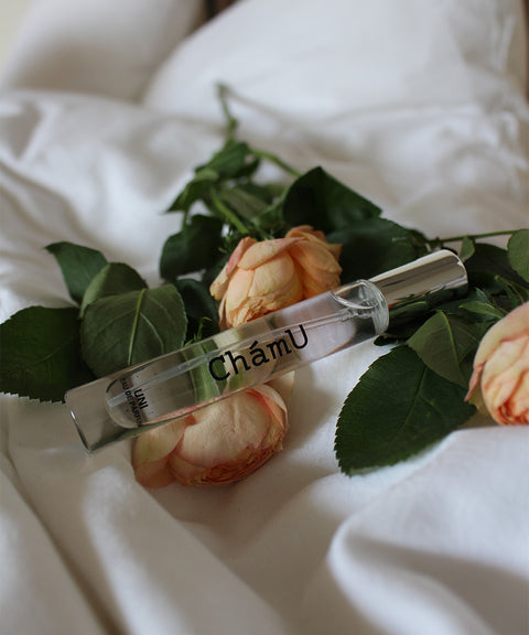 GIFT / EAU DE PARFUM・THE SOAP