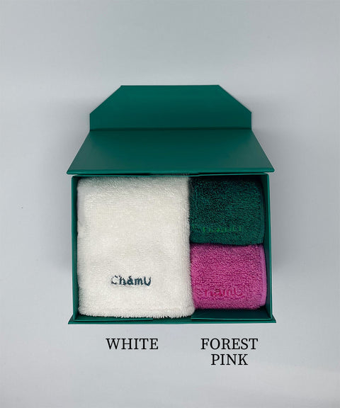 GIFT / MINI TOWEL×2・HAND TOWEL