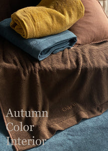 Autumn Color Interior